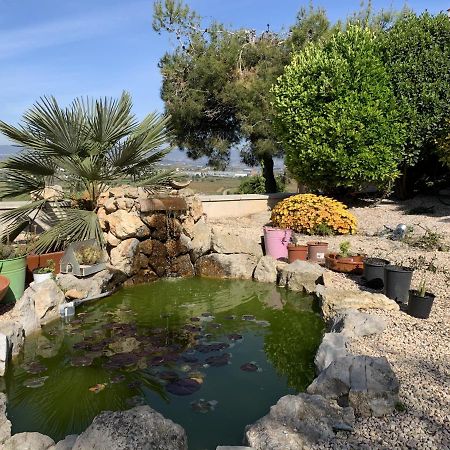 Apartamento entero con vistas panorámicas Avinyonet del Penedes Exterior foto